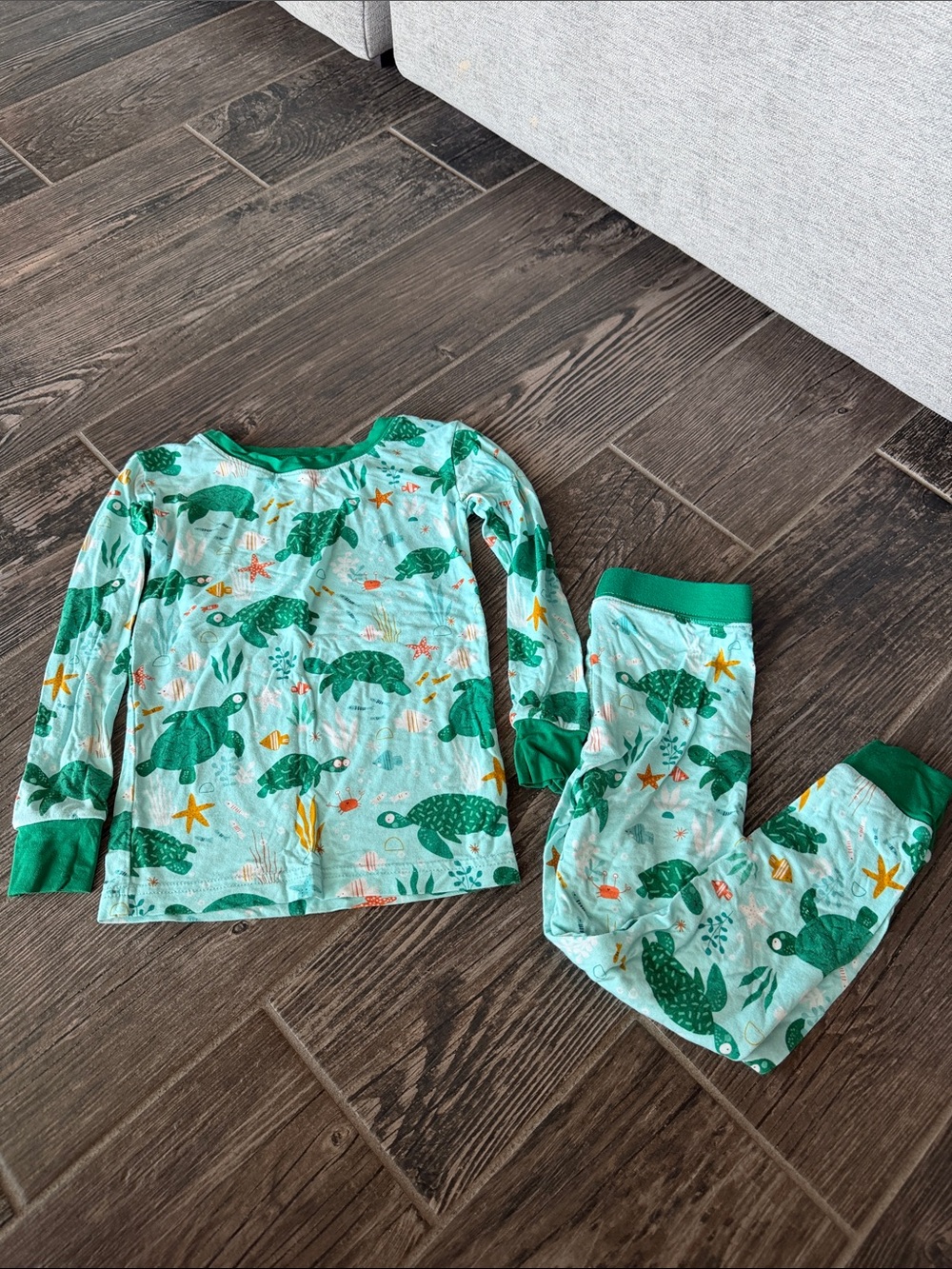 Little Sleepies Green Turtle Print Pajama Set
